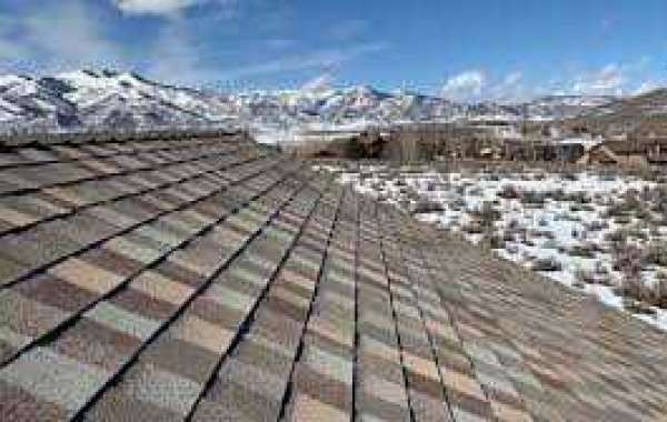 Safeguard Your Investment Understanding Utah's Roofing Needs