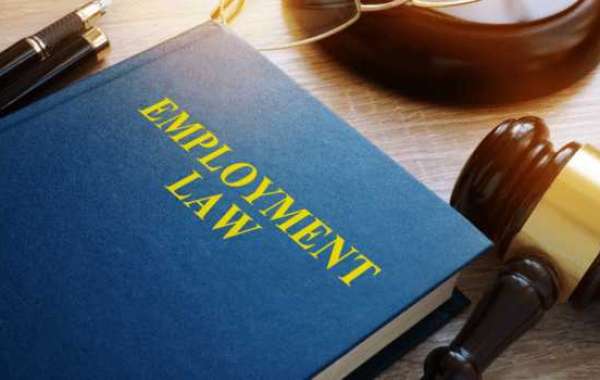 "From Hiring to Termination: Employment Law Insights"
