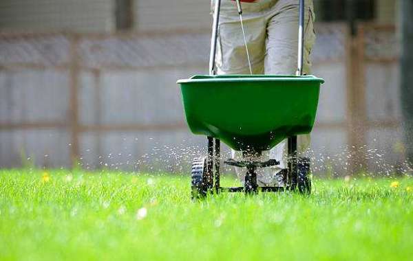 Unlocking the Green Secret: Exploring the Best Liquid Lawn Fertilizers