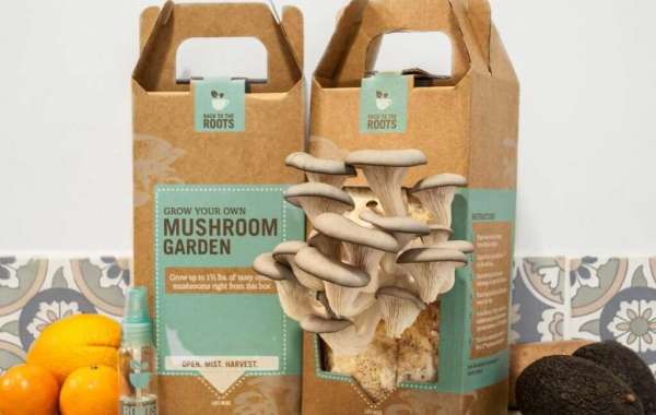 From Farm to Fridge: The Vital Role of Mushroom Boxes