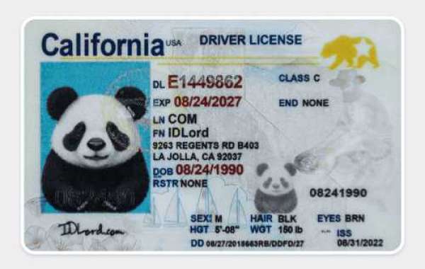 Unlocking the Secrets to High-Quality California Scannable IDs with IDPAPA