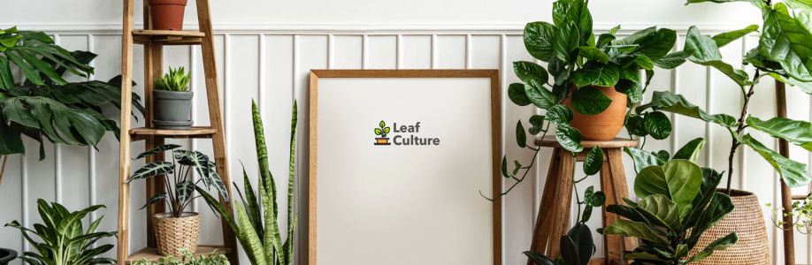 Leaf Culture Cover Image