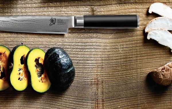 The History and Evolution of the Classic Knife