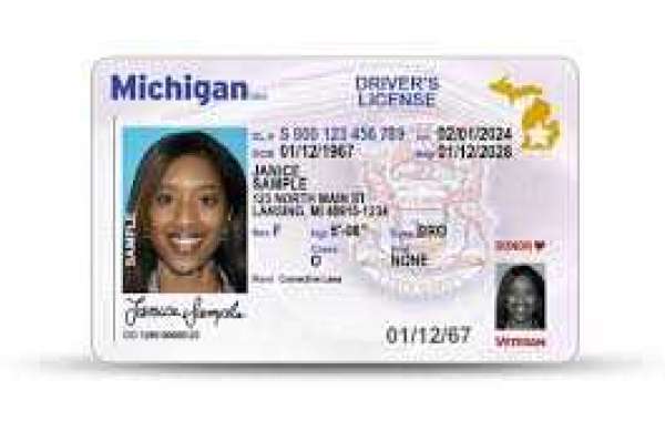 Everything You Need to Know About Buying a Driving License Online