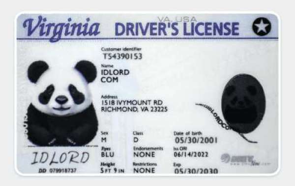 Fake IDs vs. Real IDs: The Cost of Forgery and the Value of Authenticity