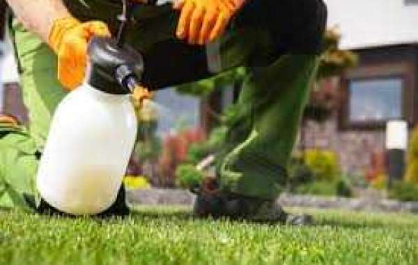 Transform Your Lawn withGreen Grass Dye Spray 