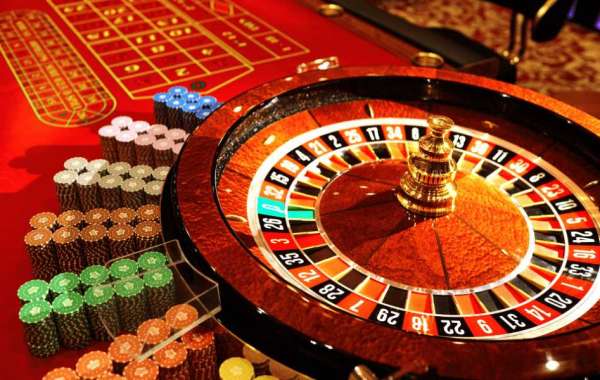 The Thrill of Casino Lotteries: An In-Depth Look