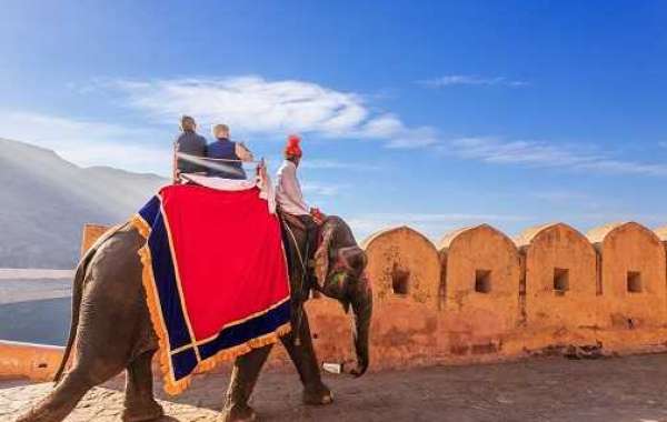 Golden triangle tour with Oberoi hotel