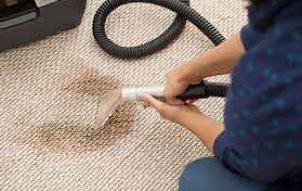 The Comprehensive Benefits of Regular Carpet Cleaning