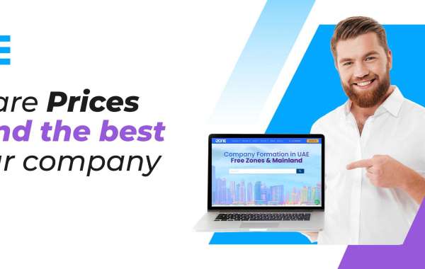 The Ultimate Guide to PRO Services and Business Setup Services for Your New Venture