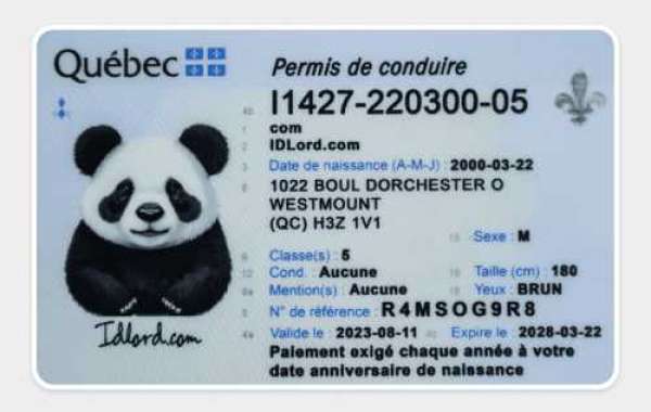 Exploring the World of Quebec Fake IDs What You Need to Know