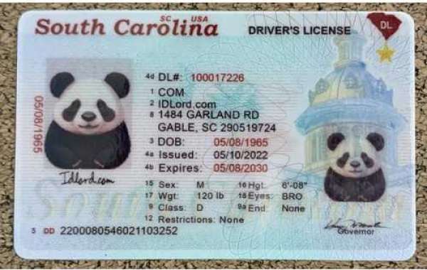 Elevate Your South Carolina Experience Discover the Ultimate South Carolina ID Design