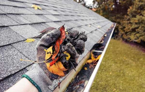 Best Gutter Cleaner Omaha: Protecting Your Home with Expert Care