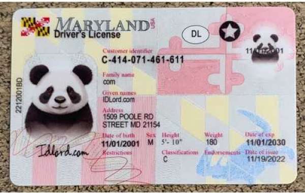 Unlock the Freedom Crafting Your Unique Maryland Driver's License for Ultimate Promotional Impact