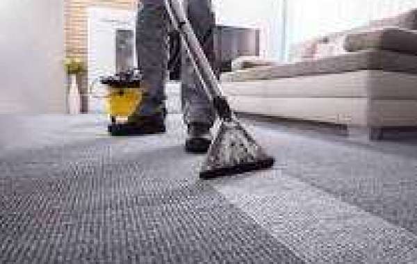 The Essential Role of Professional Carpet Cleaning in Home Hygiene