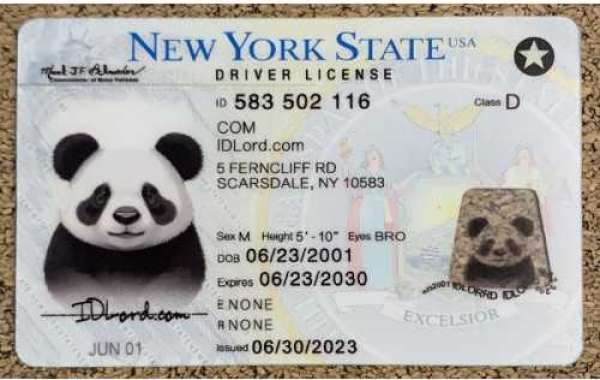 Discover the Best Sources for Fake IDs in NYC Your Guide to Finding Quality ID Solutions