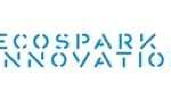 EcoSpark Innovations: Embracing the Future with Innovation and Convenience