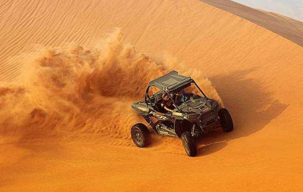 A Journey Through the Sands: What to Expect on Big Red Adventure Tours